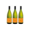 Pfannebecker Dry Pinot Blanc White Wine, Germany, Organic, 3 x 1 L + FeinWert E-Book view 1