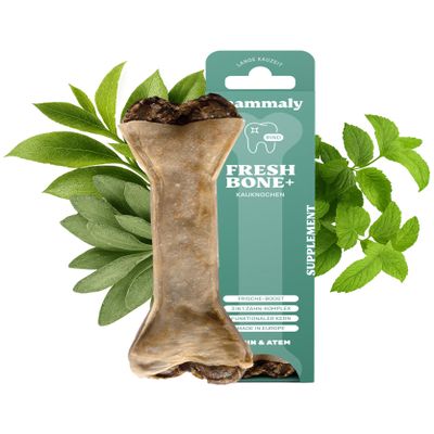4-in-1 Dental Care Chew Bone - Fresh Bone+
