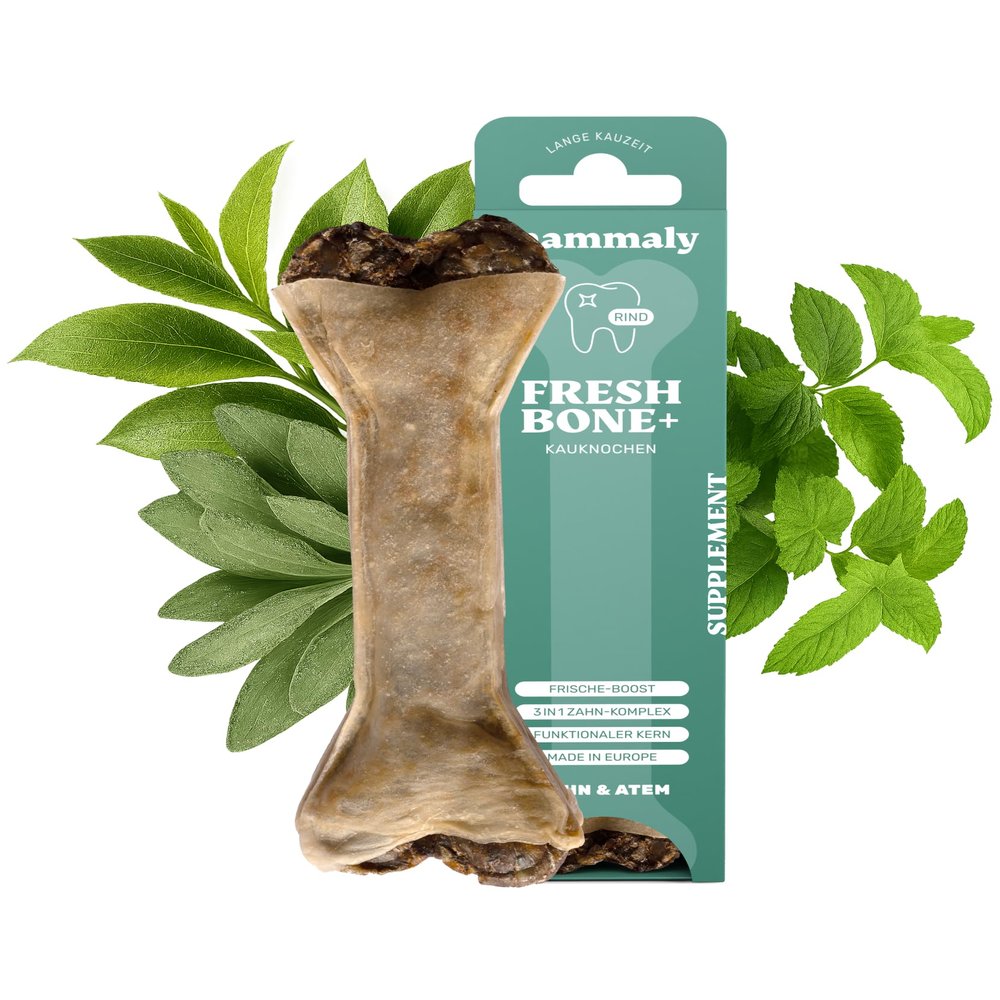 4-in-1 Dental Care Chew Bone - Fresh Bone+