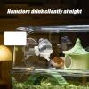 Hamster Water Bottle, Drip-Free Waterer and Feeder view 3