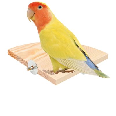 Parrot Trampoline Platform - Fish Shape