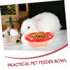 Toyvian Ceramic Food Bowl for Hamsters and Small Pets view 3