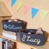 Personalized Dog/Cat Toy Basket, Cotton Rope Pet Toy Storage Box, Puppy Gift (28 x 22 x 11 cm) view 2