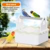 Bird Perch | Tabletop Training Playground | Bird Toy for Finches, Lovebirds, Parakeets & Conures view 3