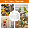 Bird Perch | Tabletop Training Playground | Bird Toy for Finches, Lovebirds, Parakeets & Conures view 4