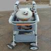 Foldable Pet Stroller with Removable Cabin, Folding Canopy and 360° Wheels view 2