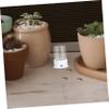 BESTonZON Transparent Ant Water Feeder view 2