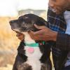 GPS Tracker for Dogs view 2