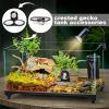 Reptile Food and Water Bowl for Geckos view 2