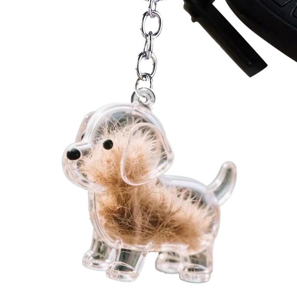 Quorvex Cute Pet Keychain, Transparent Dog Hair Keepsake Holder
