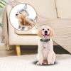 Quorvex Cute Pet Keychain, Transparent Dog Hair Keepsake Holder view 2