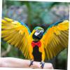Gatuida Reusable Bird Flight Diaper Suit, Washable Cotton, Black with Bow Decoration, for Parrots and Budgerigars view 4