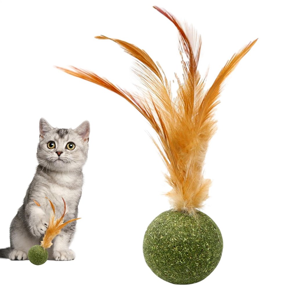 Catnip Toys for Cats
