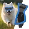 Dog Sunglasses | UV Protection for Pets view 3