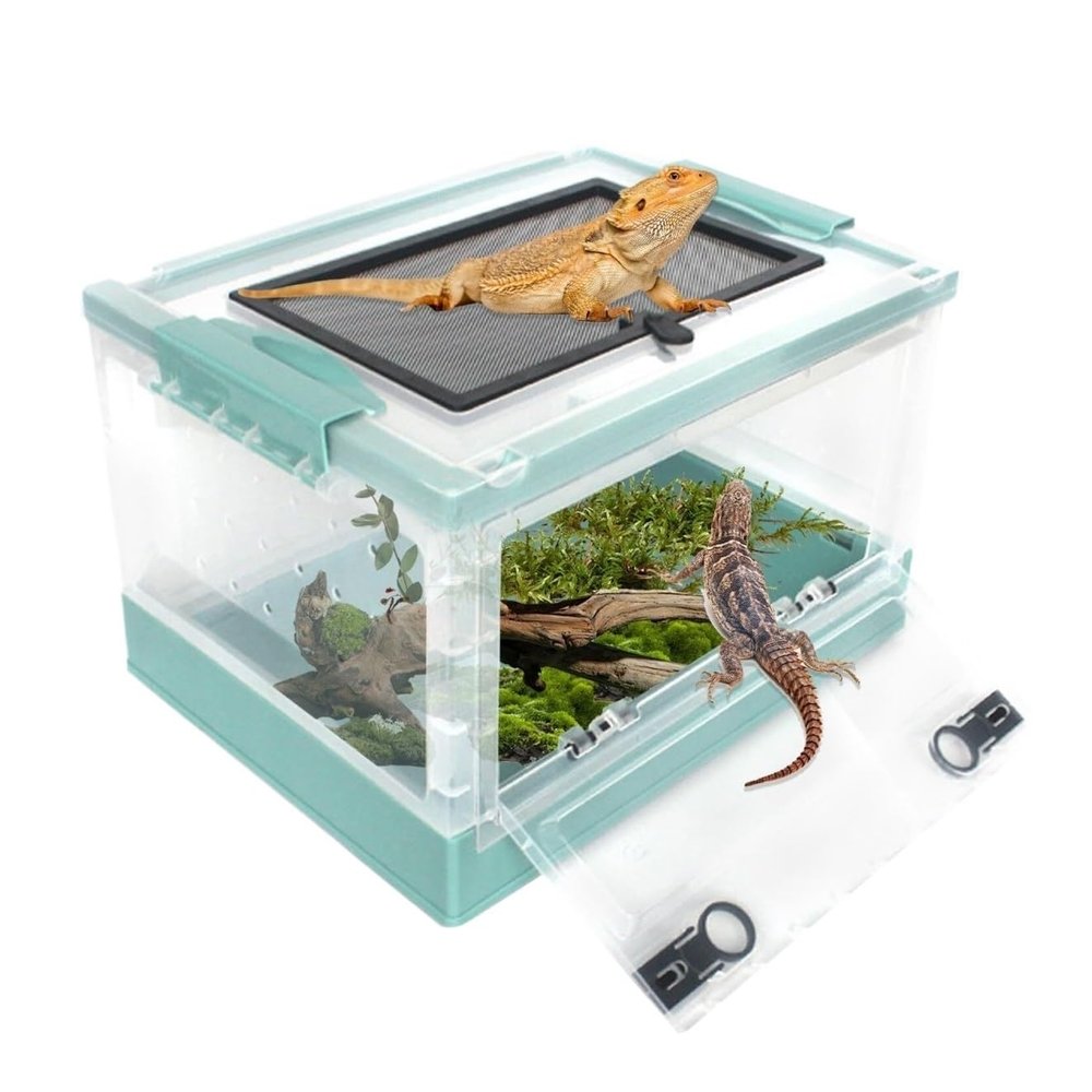 AMYSTY Terrarium Feeding Box for Snails, Reptiles, Amphibians, and Jumping Spiders, Blue, 39.5 cm