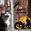 Halloween Dog Hair Bow view 3