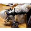 Dog Wheelchair for Paralyzed Pets, Medium/Large, Four-Wheel Support view 2