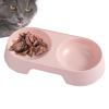 Elevated Dog Feeding Station with Double Bowls view 1