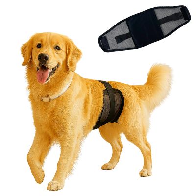 Colenumone Dog Diapers for Male Dogs, XL