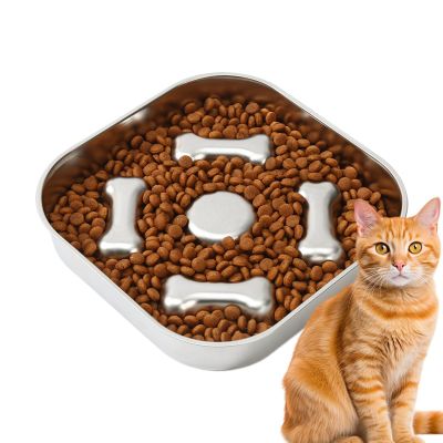 Non-Slip Stainless Steel Slow Feeder Dog Bowl
