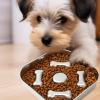 Non-Slip Stainless Steel Slow Feeder Dog Bowl view 2