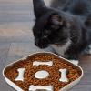 Non-Slip Stainless Steel Slow Feeder Dog Bowl view 3