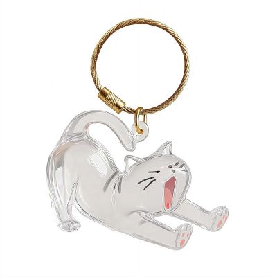Cat Hair Memorial Keychain