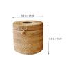 Gatuida Brown Handwoven Rattan Tissue Box view 2
