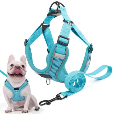 No-Pull Reflective Dog Harness with Leash for Small and Medium Dogs, Adjustable Air Mesh, Sea Blue, XL