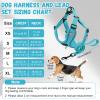 No-Pull Reflective Dog Harness with Leash for Small and Medium Dogs, Adjustable Air Mesh, Sea Blue, XL view 2