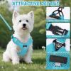 No-Pull Reflective Dog Harness with Leash for Small and Medium Dogs, Adjustable Air Mesh, Sea Blue, XL view 3