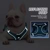 No-Pull Reflective Dog Harness with Leash for Small and Medium Dogs, Adjustable Air Mesh, Sea Blue, XL view 4