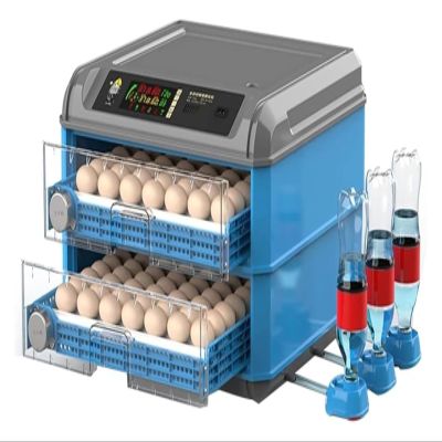 Pink Beryl Fertile Egg Incubator, 128–500 Chicken Eggs