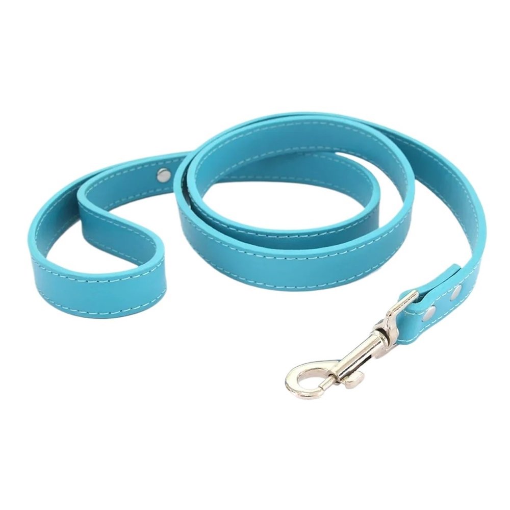 2-Pack Leather Dog Leashes for Small to Medium Dogs