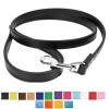 2-Pack Leather Dog Leashes for Small to Medium Dogs view 3