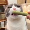 MALSSE 50g Grass Snacks view 3