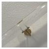 Custom Acrylic Handrail Set for Lucite Stairs, 50–700 cm, Adjustable Non-Slip Wall-Mounted, Transparent view 1