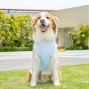 Hkfgdjdl Cooling Vest, Breathable Vest for Small to Large Dogs and Cats, Comfortable Pet Clothing, Lightweight, Polyester view 3