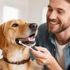 Soft Dog Toothbrush for Puppies view 4