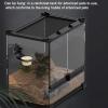 Gecko Feeding Station with Suction Cup view 3