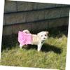 VERDANVERSE Washable Dog Diaper for Females view 3