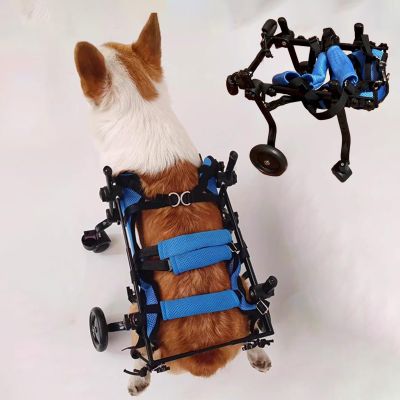 Dog Wheelchair for Small and Medium Dogs – Lightweight Rear-Leg Support Cart