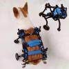 Dog Wheelchair for Small and Medium Dogs – Lightweight Rear-Leg Support Cart view 1