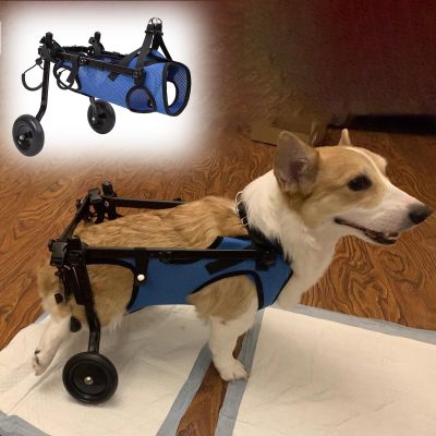 Adjustable Rear-Leg Dog Wheelchair for Corgis and Small Breeds, XS/S/M