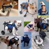 Adjustable Rear-Leg Dog Wheelchair for Corgis and Small Breeds, XS/S/M view 2