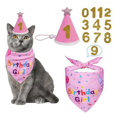 Birthday Hat and Bandana Set for Small Dogs and Cats (Pink)