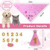 Birthday Hat and Bandana Set for Small Dogs and Cats (Pink) view 2