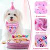 Birthday Hat and Bandana Set for Small Dogs and Cats (Pink) view 3