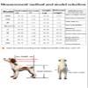 Adjustable Dog Wheelchair for Hind Legs, Mobility Aid for Disabled Pets view 2