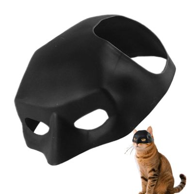 Bat Cat Mask